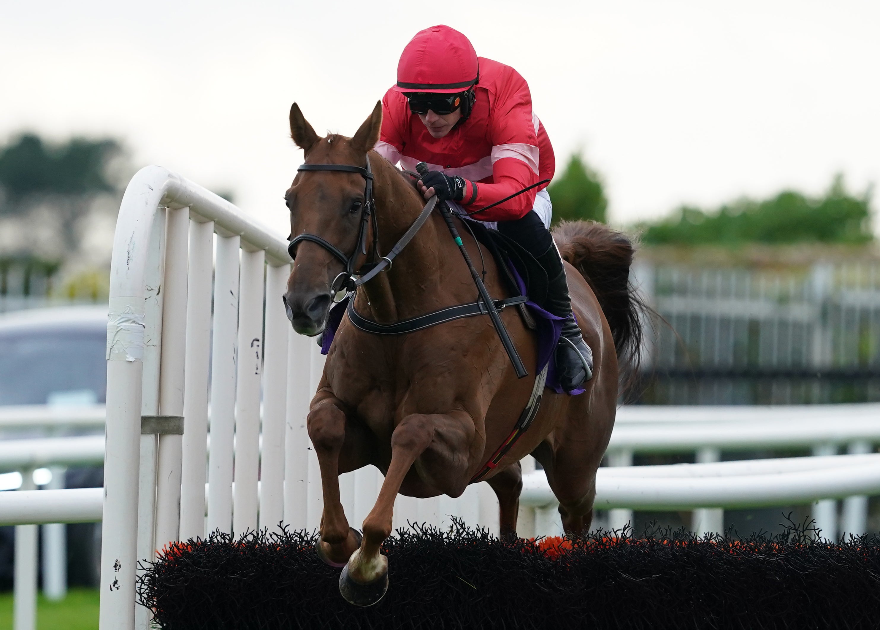 Ballyburn could ride to victory on day two at the Cheltenham Festival