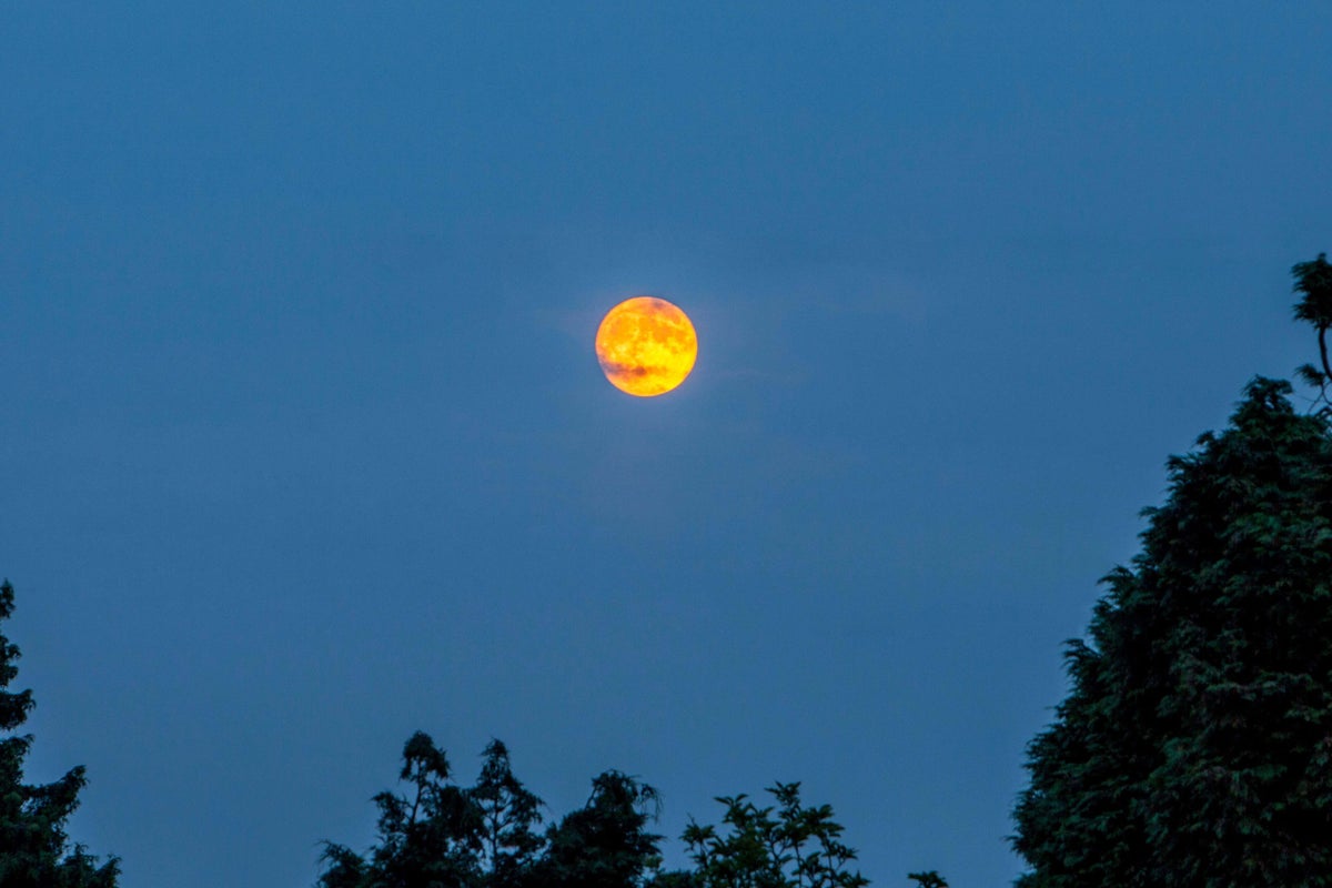 UK set for ‘blood moon’ partial lunar eclipse later this week