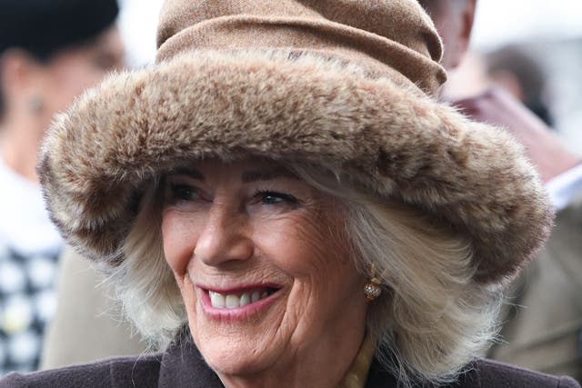 The Queen attended the second day of the Cheltenham Festival at Cheltenham Racecourse on Wednesday (Eddie Mulholland/Daily Telegraph/PA)