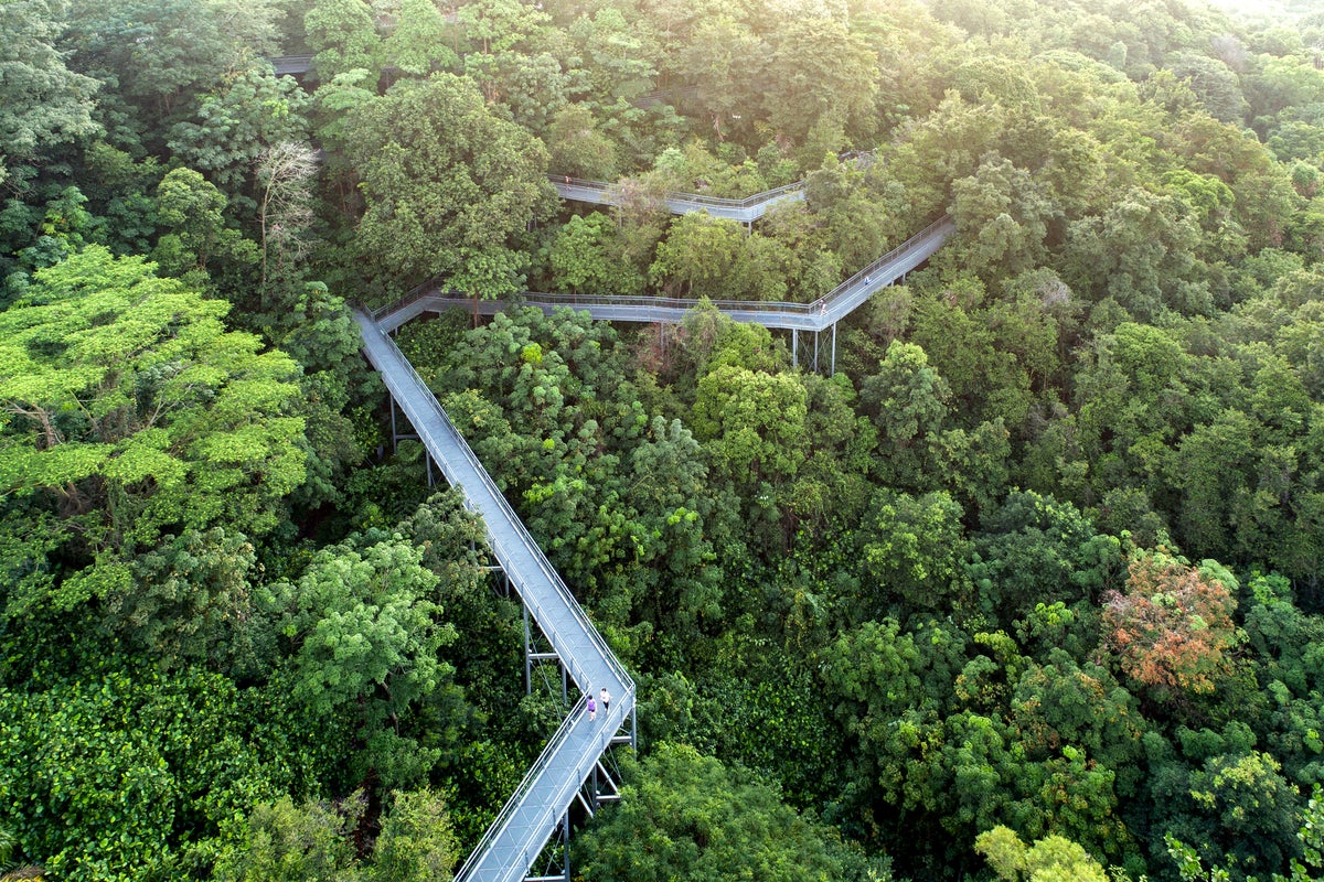 Southern Ridges Walk