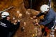 Million-year-old face fossil sheds new light on ancient human migrations
