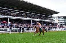 Cheltenham Odds