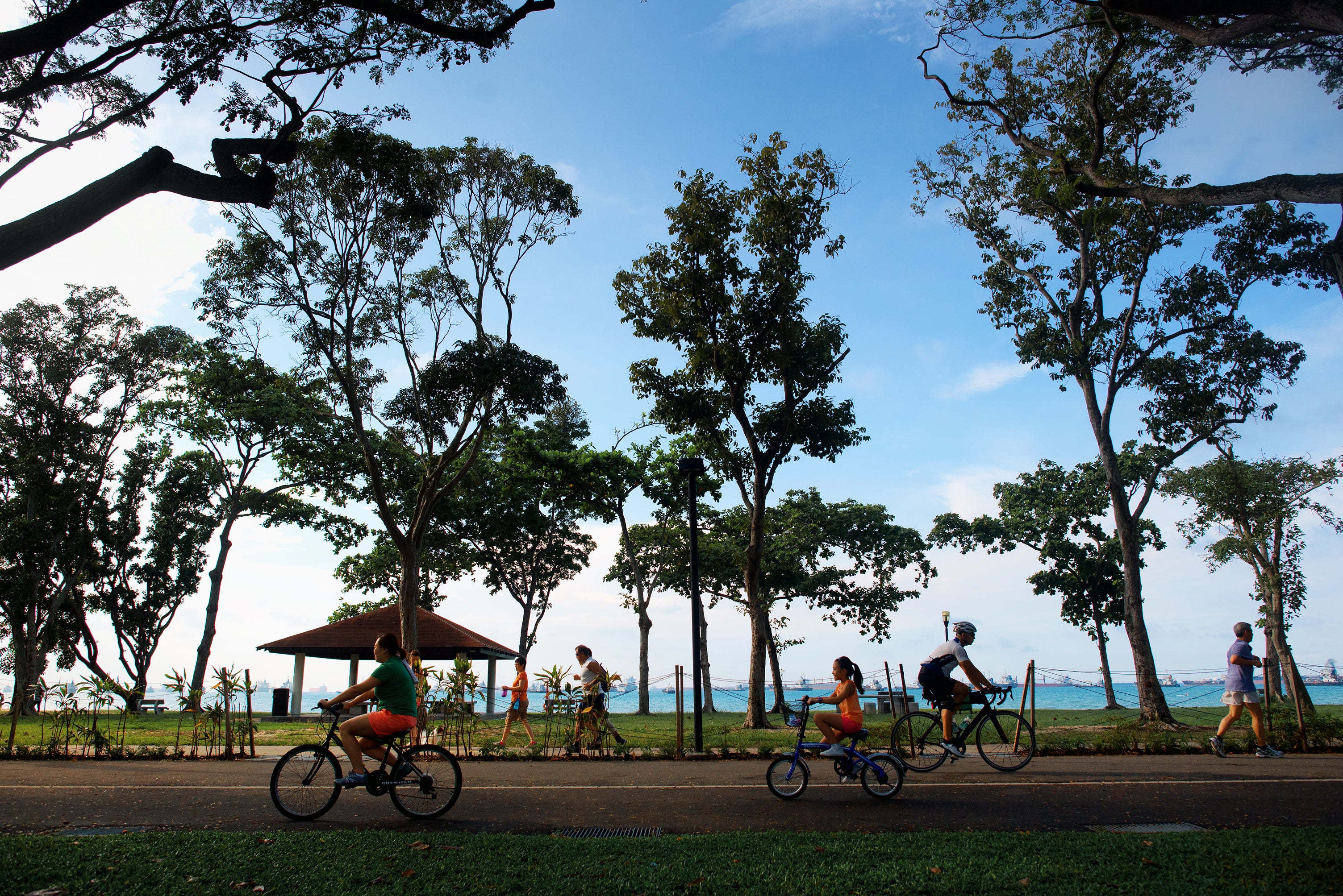 East Coast Park boasts leafy trails and beachy views, made for two-wheeled adventures