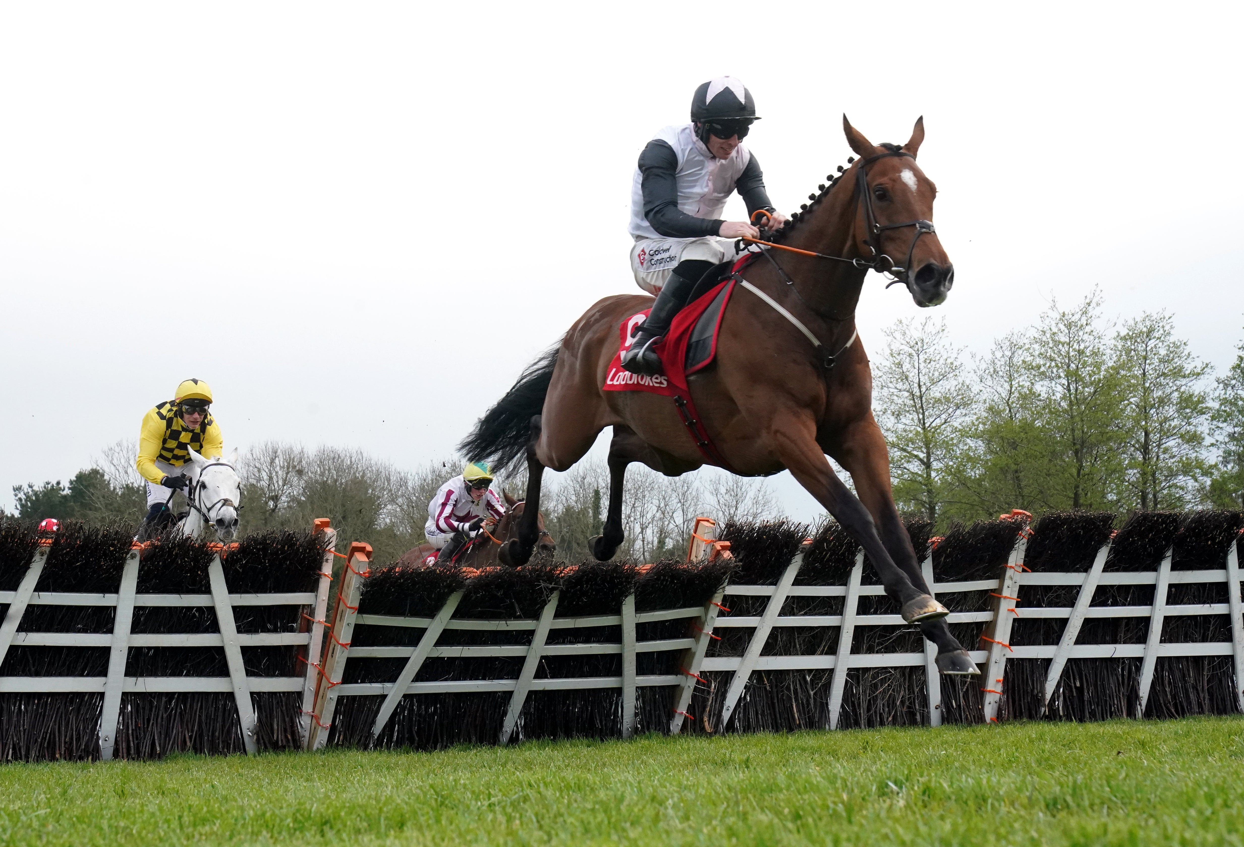 Teahupoo in the Stayers' Hurdle at Punchestown