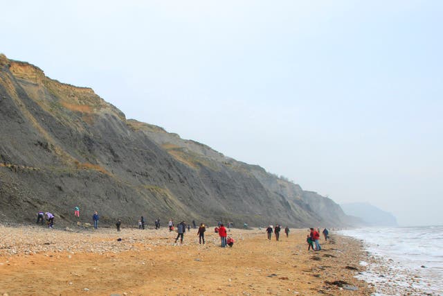 Charmouth beach (Chris Ison/PA)