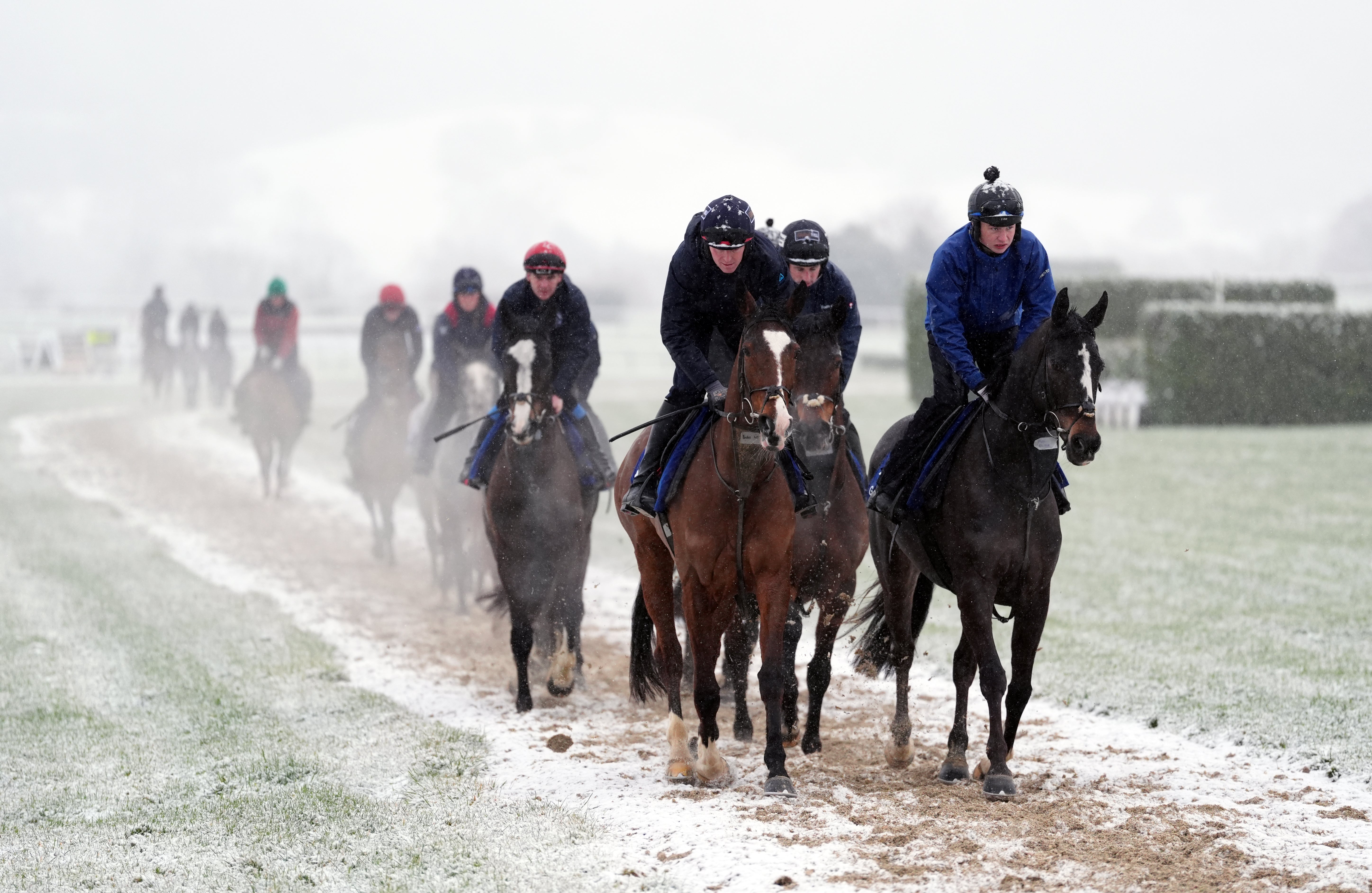 Horses on the gallops were riding through the snow