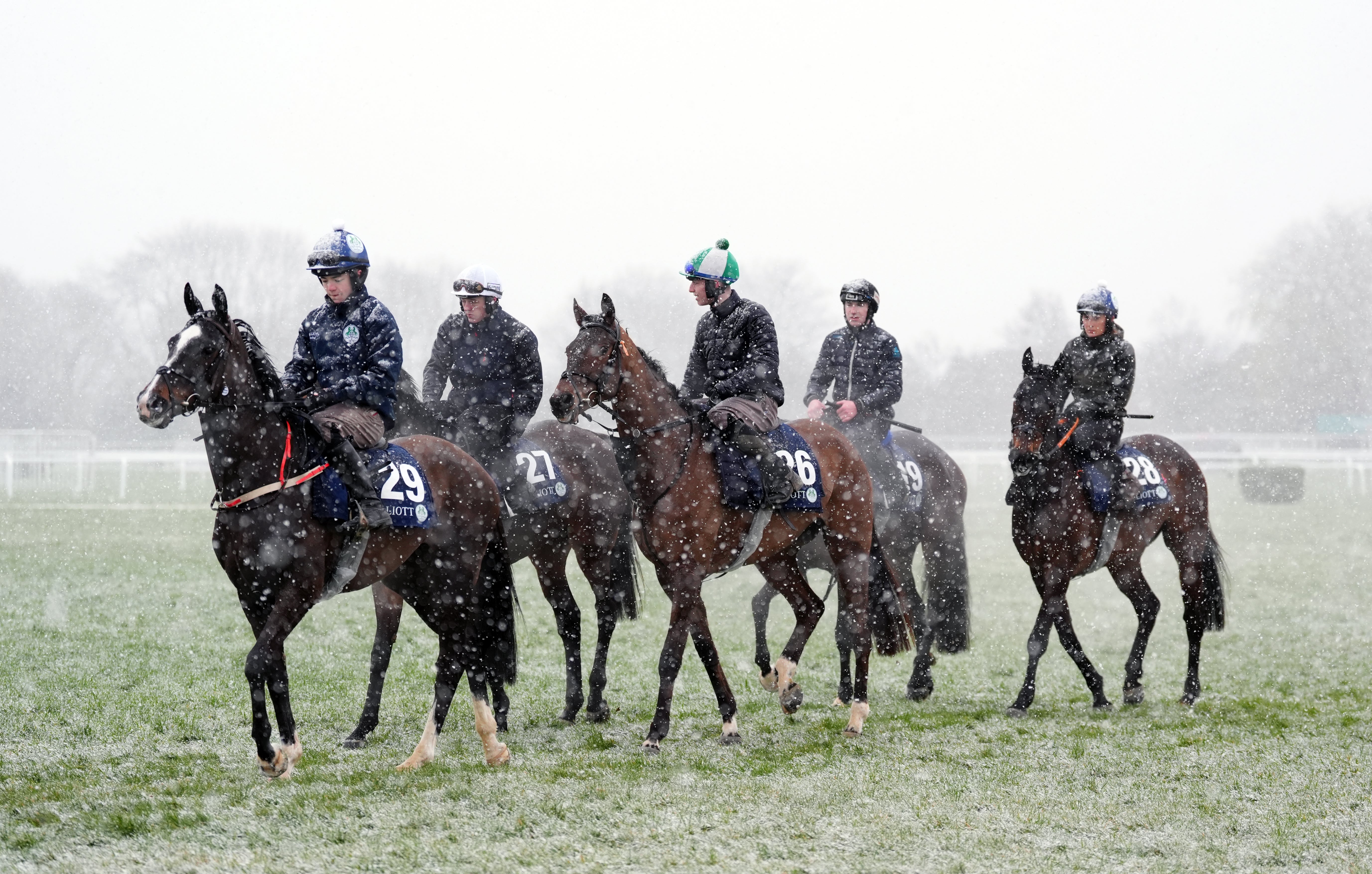 Snow surprisingly hit Cheltenham on Wednesday morning