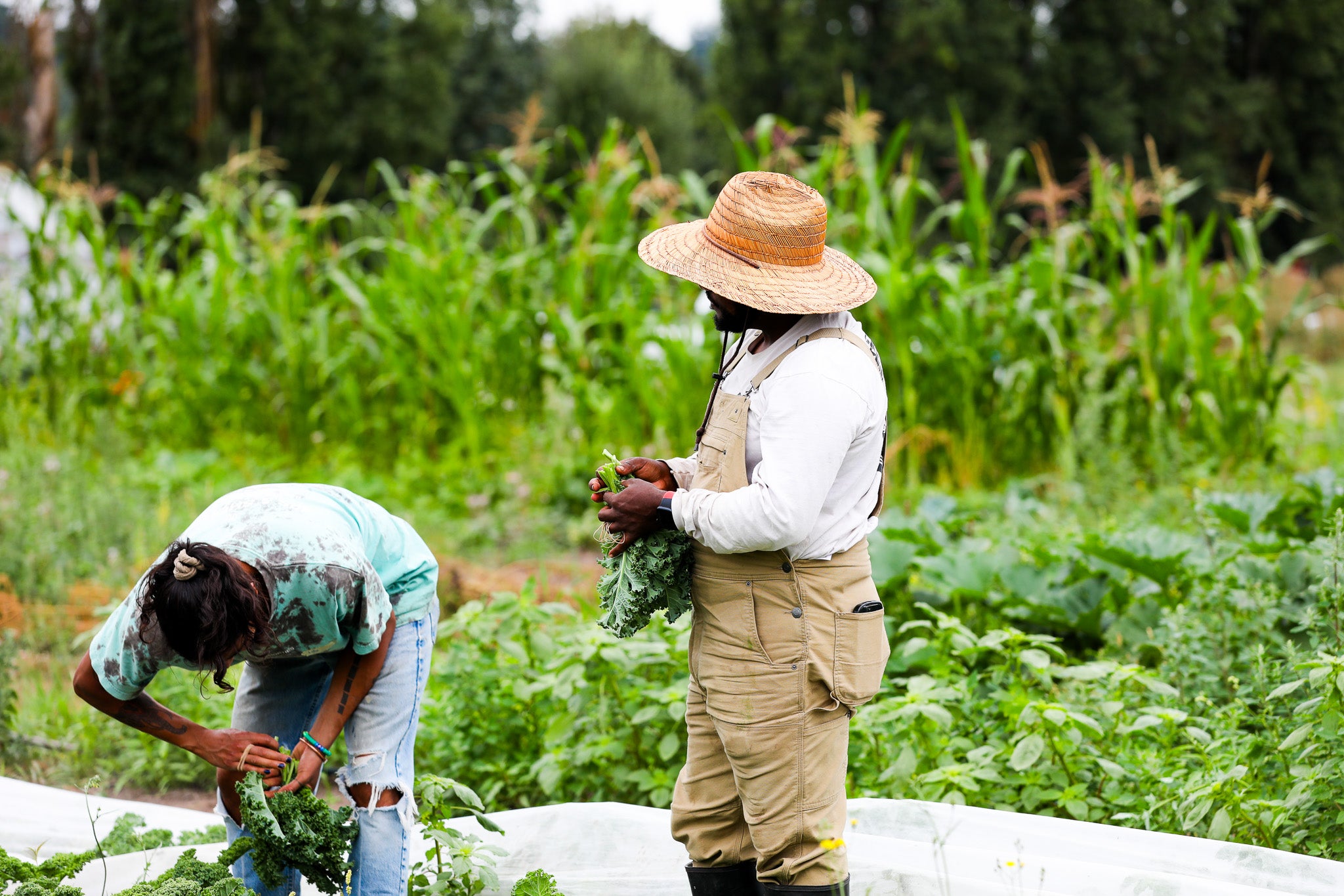 Black farm ownership has been declining for decades, after generations of discrimination and unequal opportunities