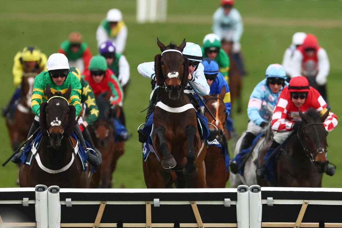 Cheltenham Festival LIVE: Results from Stayers’ Hurdle after first horse death of the week