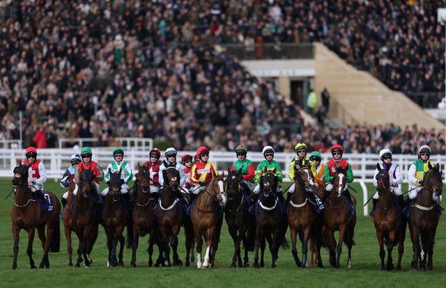 <p>Human, animal and environmental health are deeply interconnected</p>