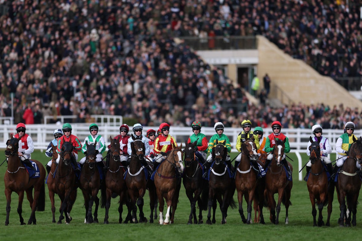 How racehorses might hold the key to saving thousands of human lives How racehorses might hold the key to saving thousands of human lives