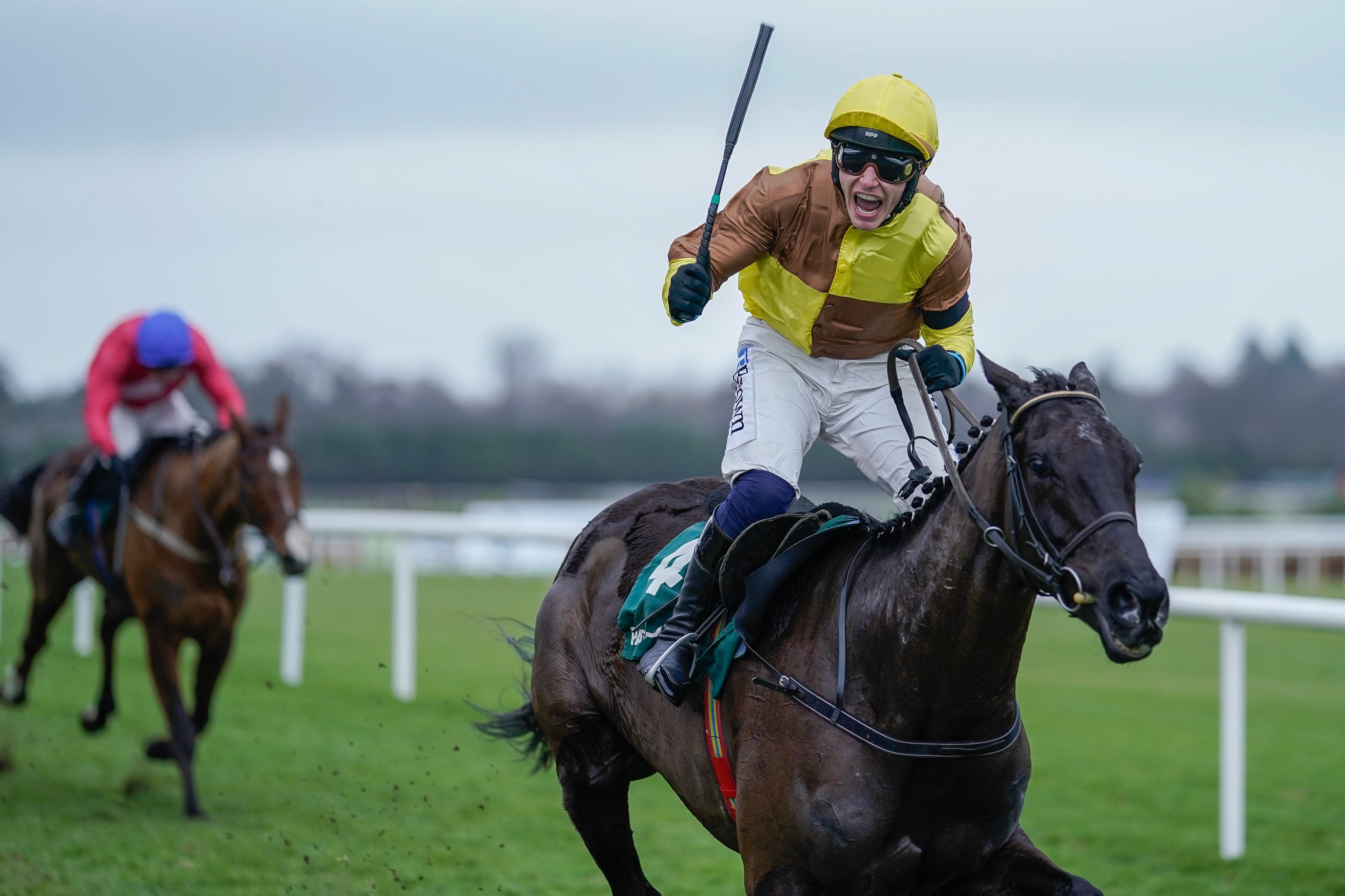 Galopin Des Champs is the favourite to win the Gold Cup