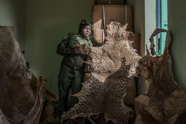 SENEGAL-COMERCIO ILEGAL DE FAUNA