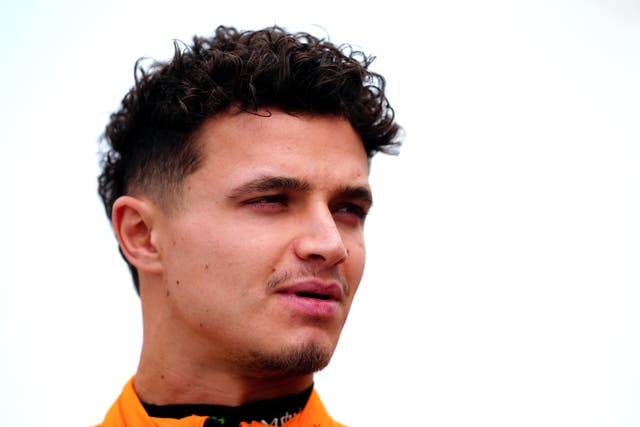 McLaren driver Lando Norris (PA/David Davies)