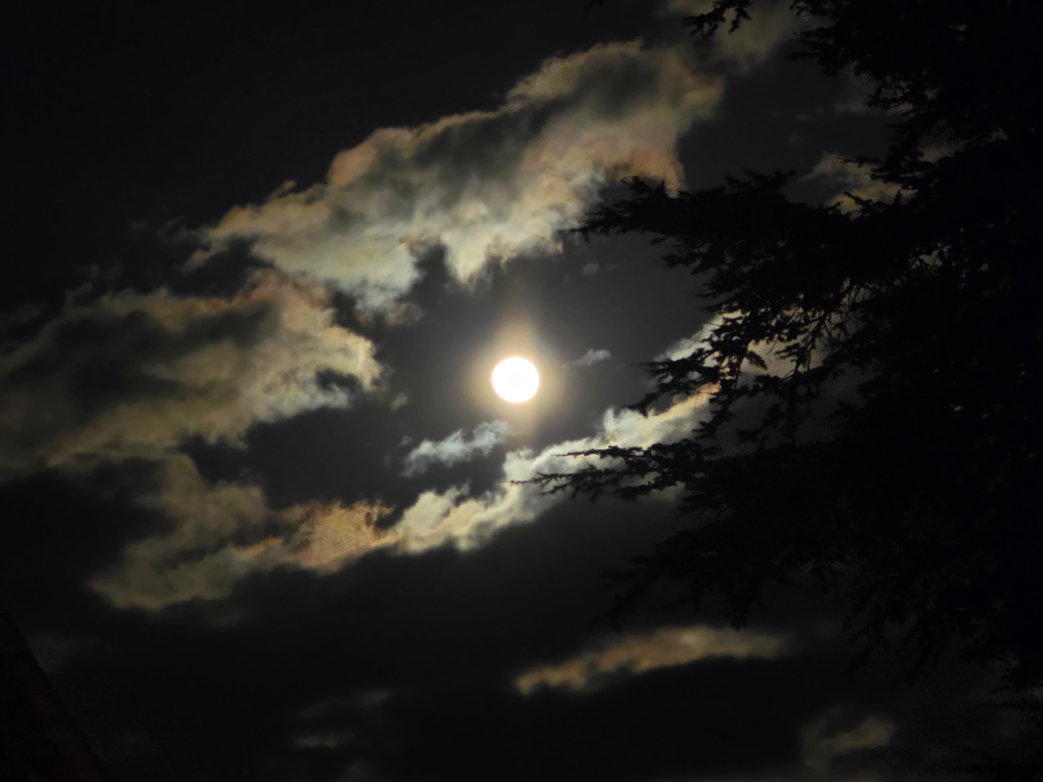 And the moon rises