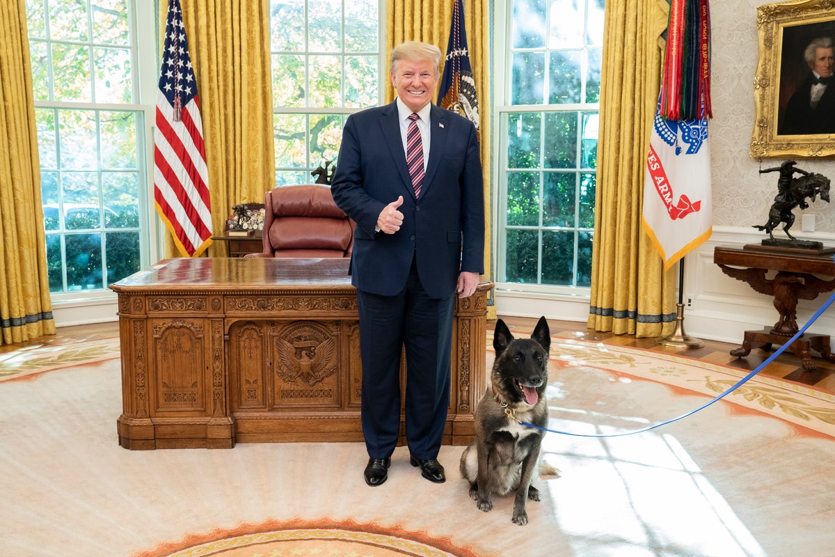 K9 Dog
