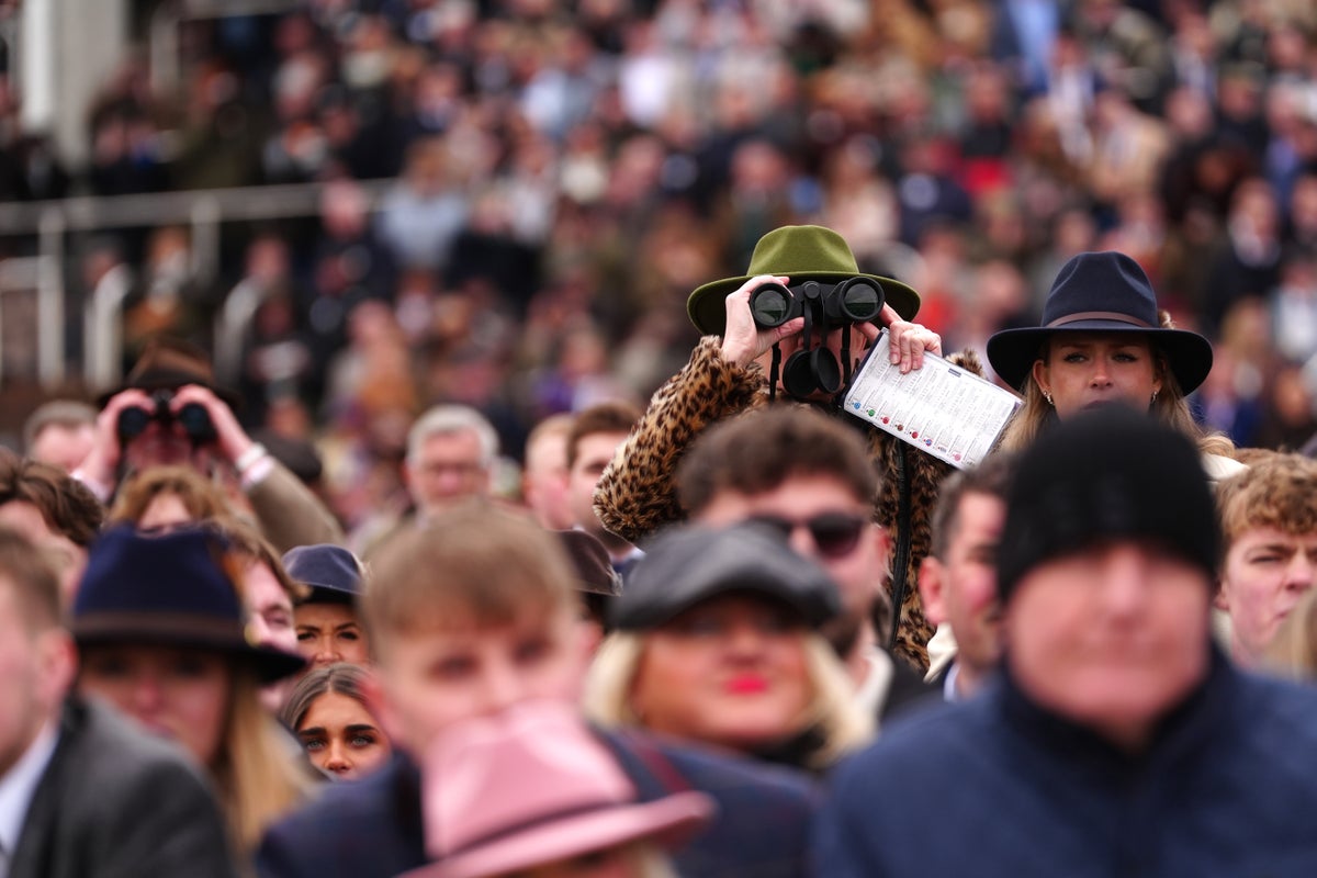 Cheltenham Festival enjoys bounceback in Gold Cup sunshine despite drop in attendance