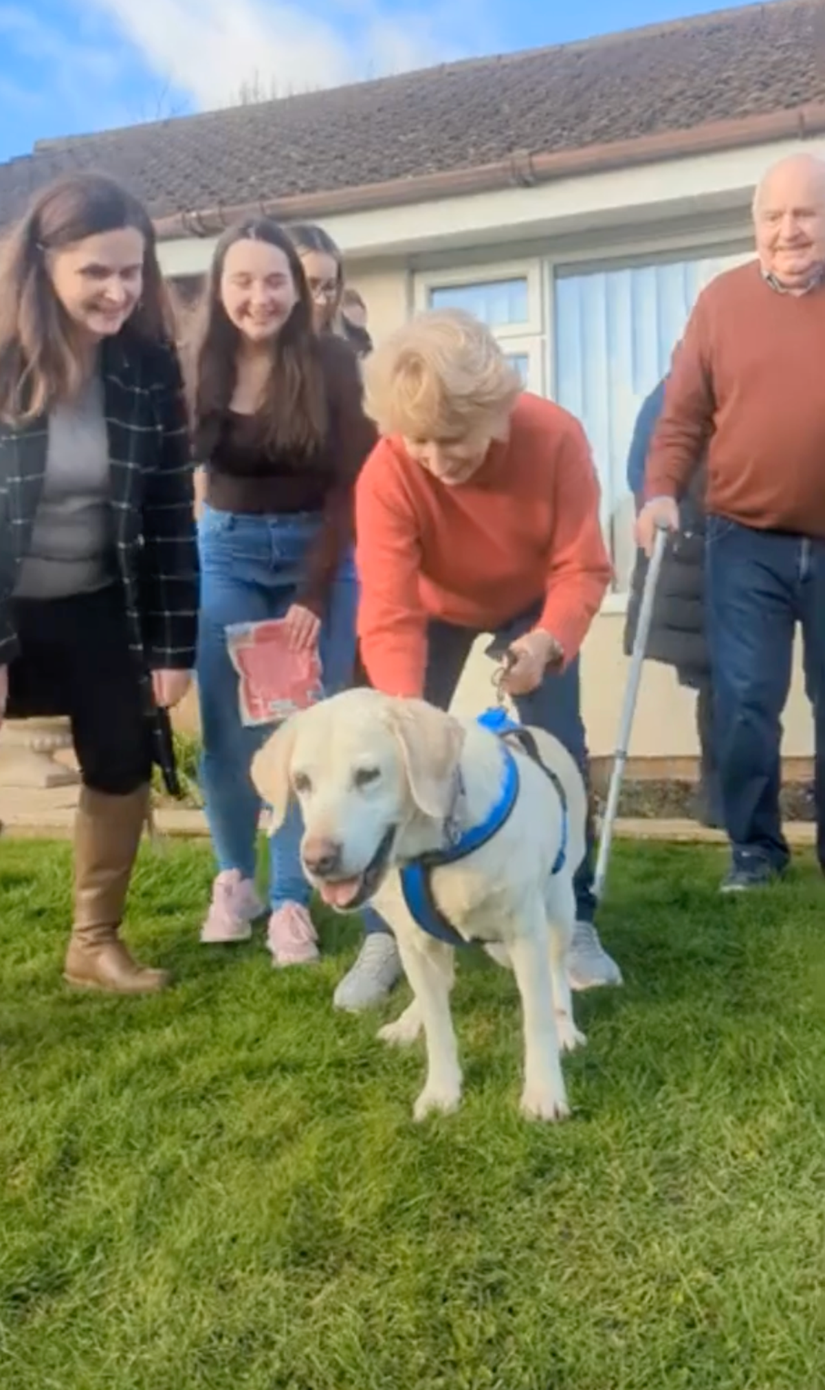 Moment family reunited with pet dog eights year after she was stolen | News  | Independent TV