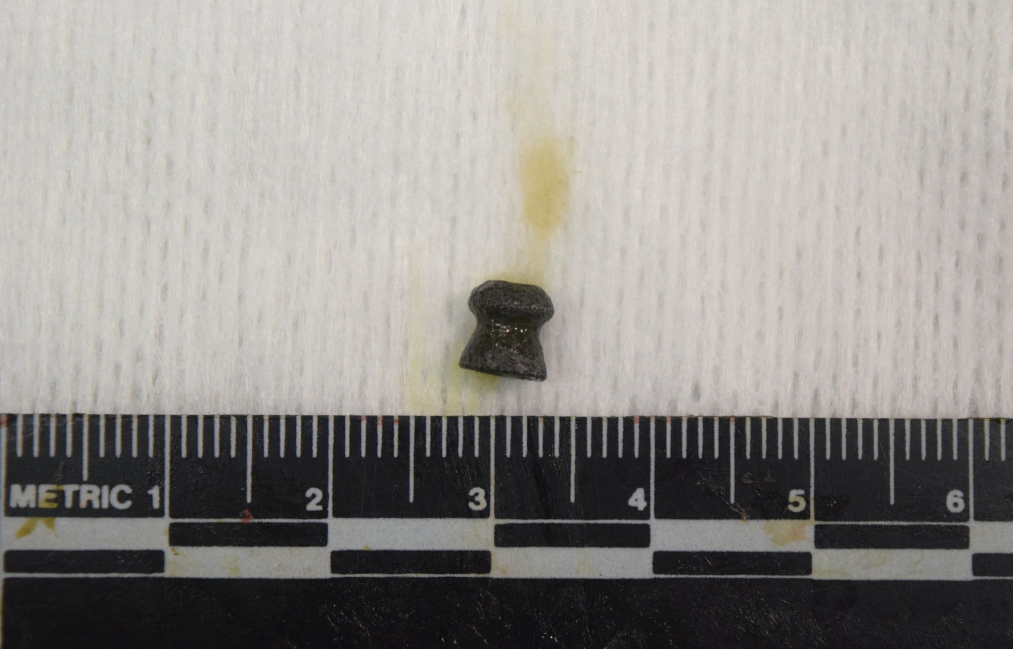 A photo of the lead pellet released by the Yurok Tribe