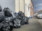 Birmingham bin strike: Public health warning as rodents ‘feast’ on rotting trash