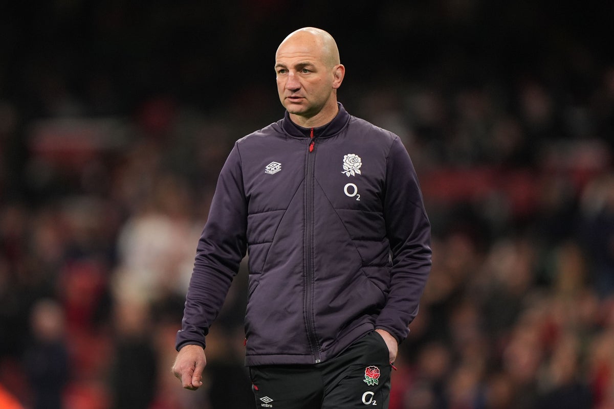 Steve Borthwick hoping England are well represented on Lions tour