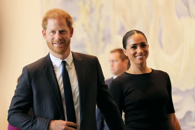 <p>Prince Harry is appealing a UK court ruling that upheld the government's decision to remove his police protection</p>