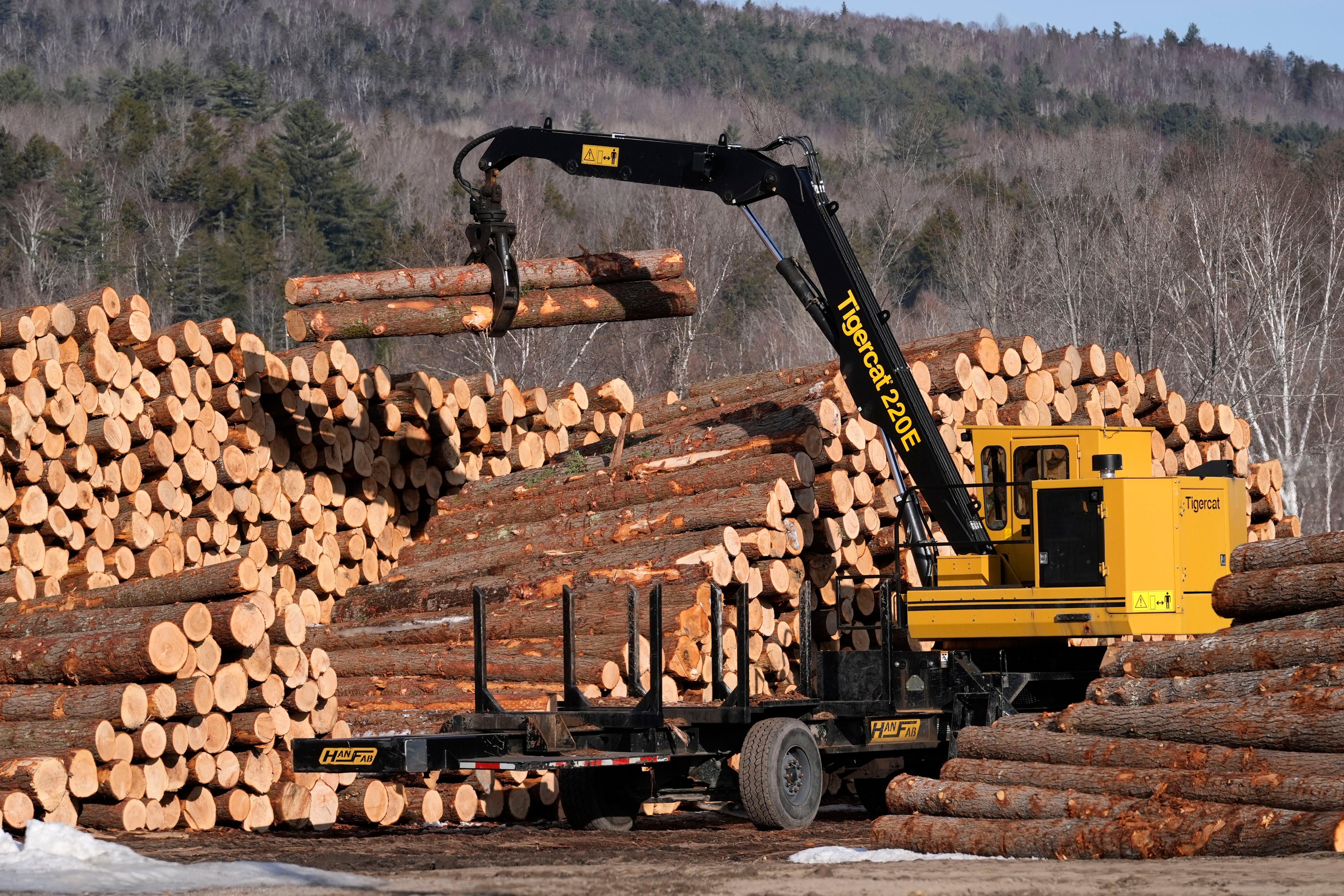 Trump Tariffs Lumber