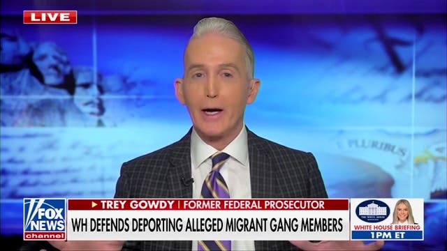 <p>Fox News host Trey Gowdy criticizes Republicans for blasting a federal judge who issued a temporary restraining order on Donald Trump’s deportations of Venezuelan migrants, noting they previously praised the same judge. </p>