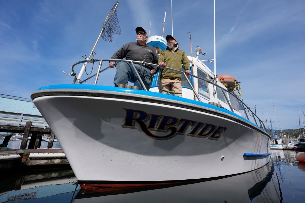 Boat tours and ash scatterings help beleaguered California salmon fleet stay afloat