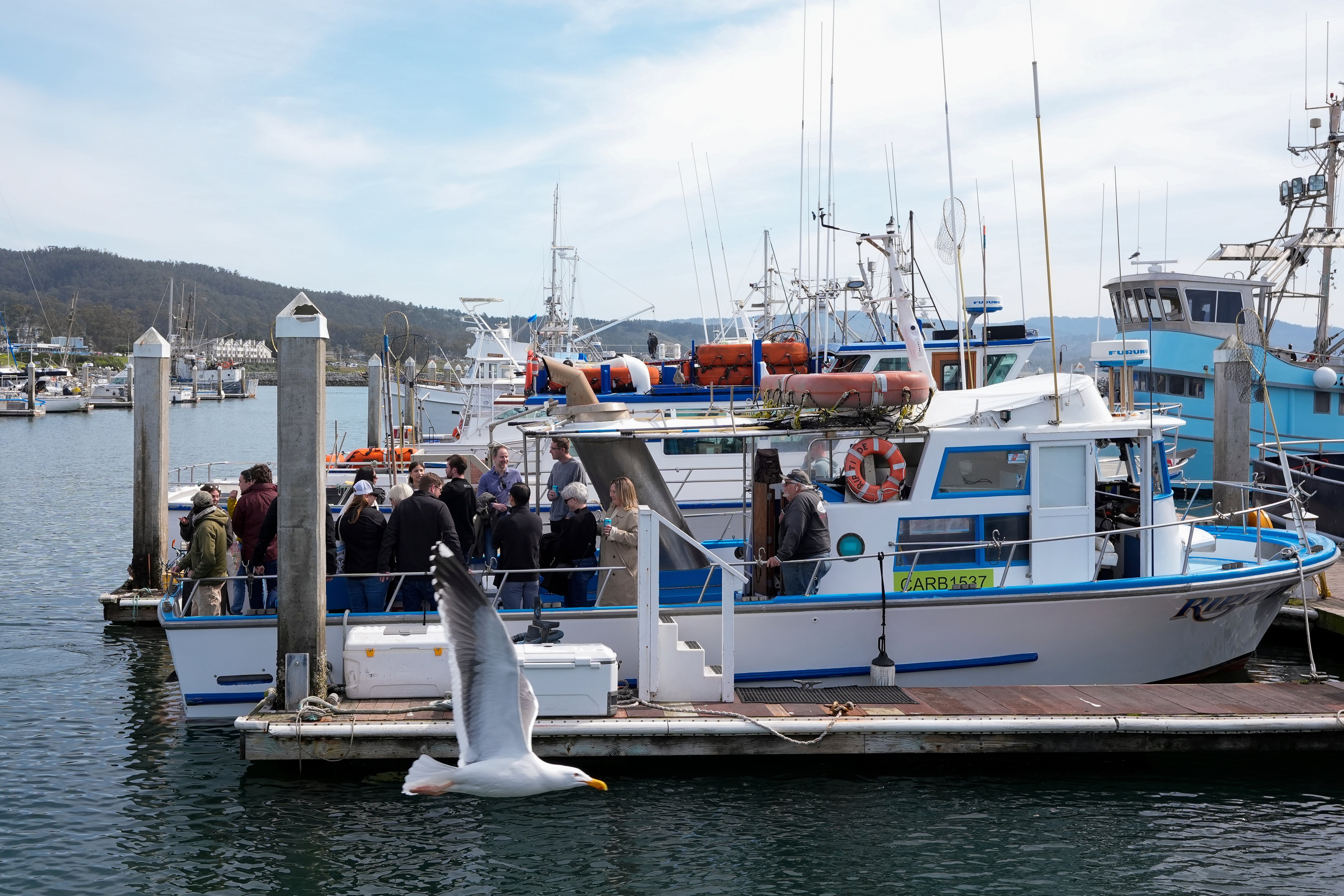 California Water Salmon