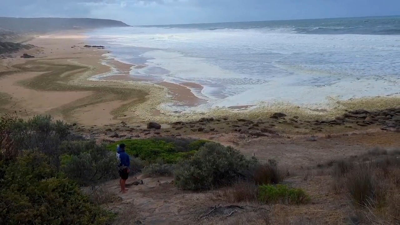 Australia Beach Foam
