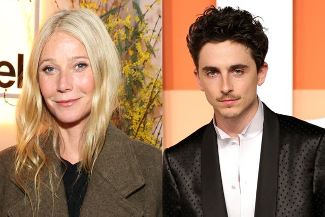 <p>Gwyneth Paltrow and Timothée Chalamet</p>