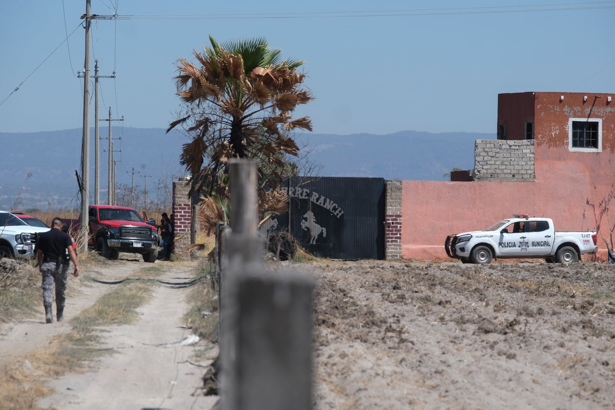 Armed men seen on video targeting group searching for relatives in Jalisco