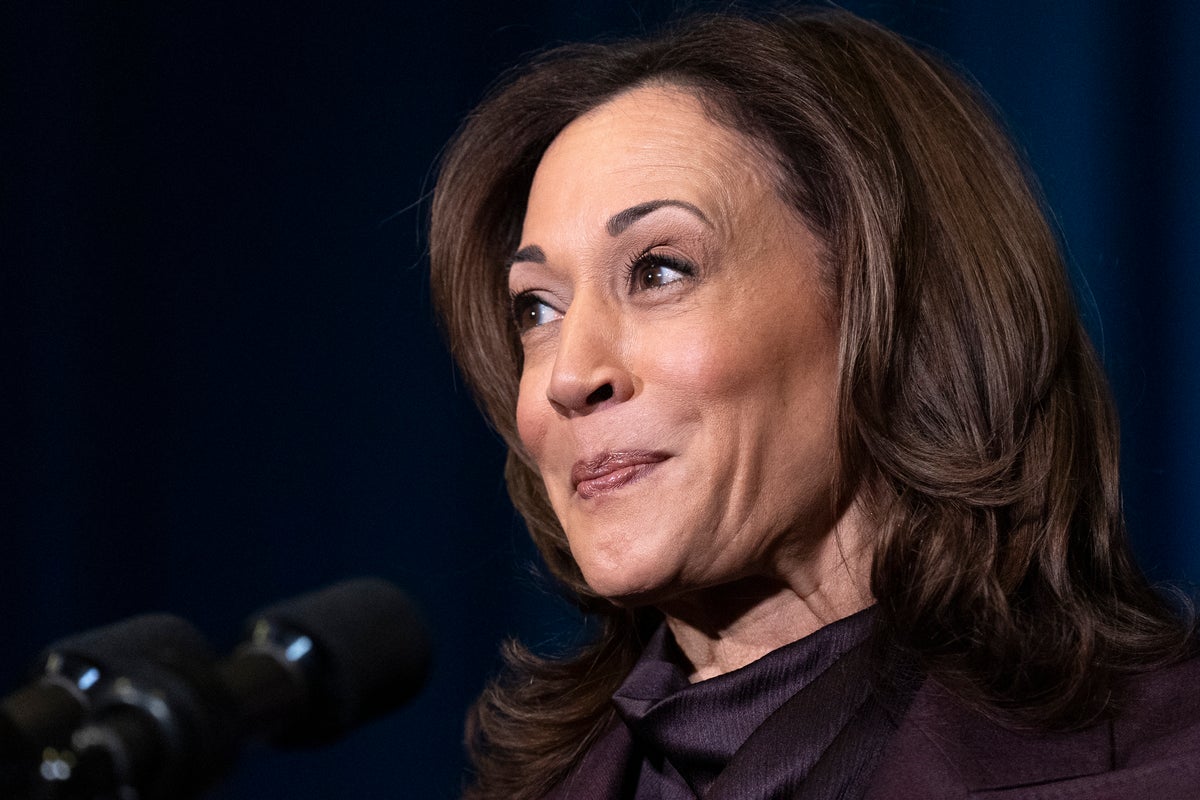 Kamala Harris flames Trump tariffs as ‘greatest man-made economic crisis in modern presidential history’