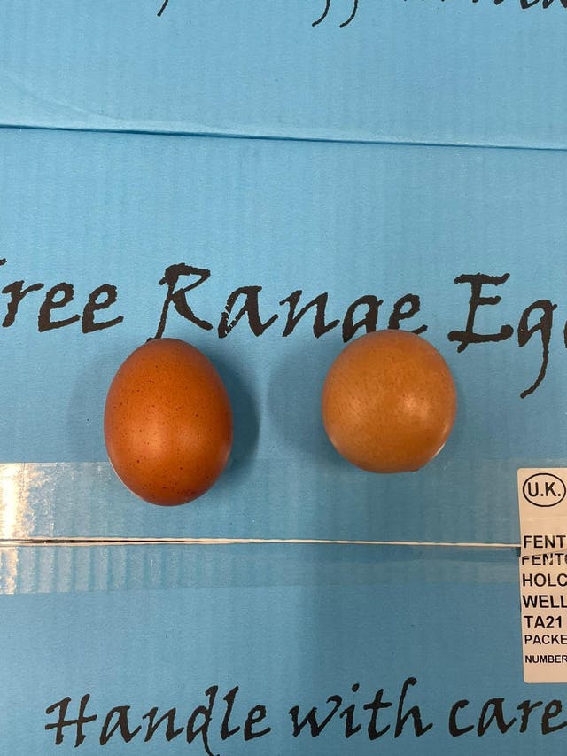 <p>A round egg has been sold at auction for £420</p>