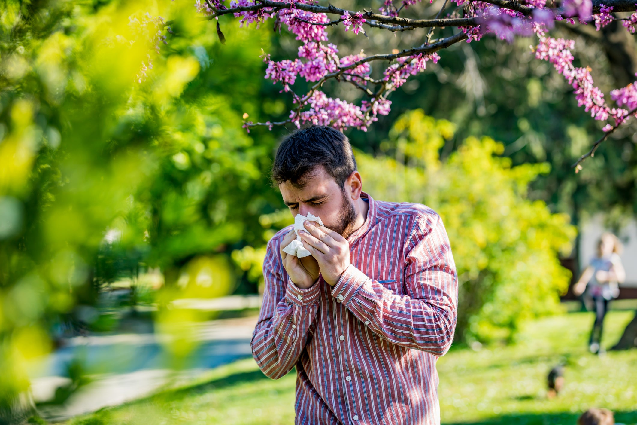 Pollen is expected to be higher than average across dozens of states this allergy season