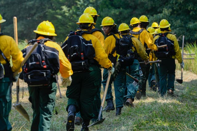 Wildland Firefighters Pay