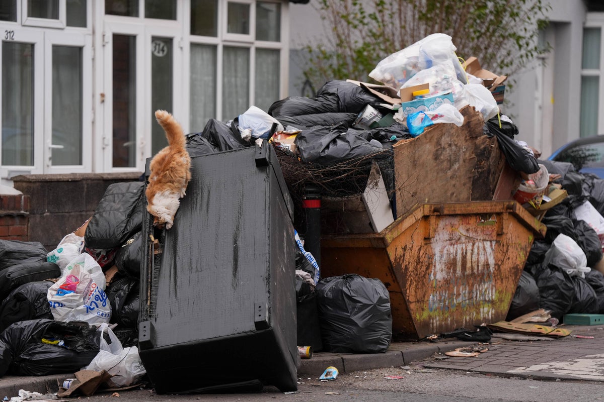 By order of the Squeaky Blinders: Tory MP shares fears of rats ‘size of cats’ in Birmingham