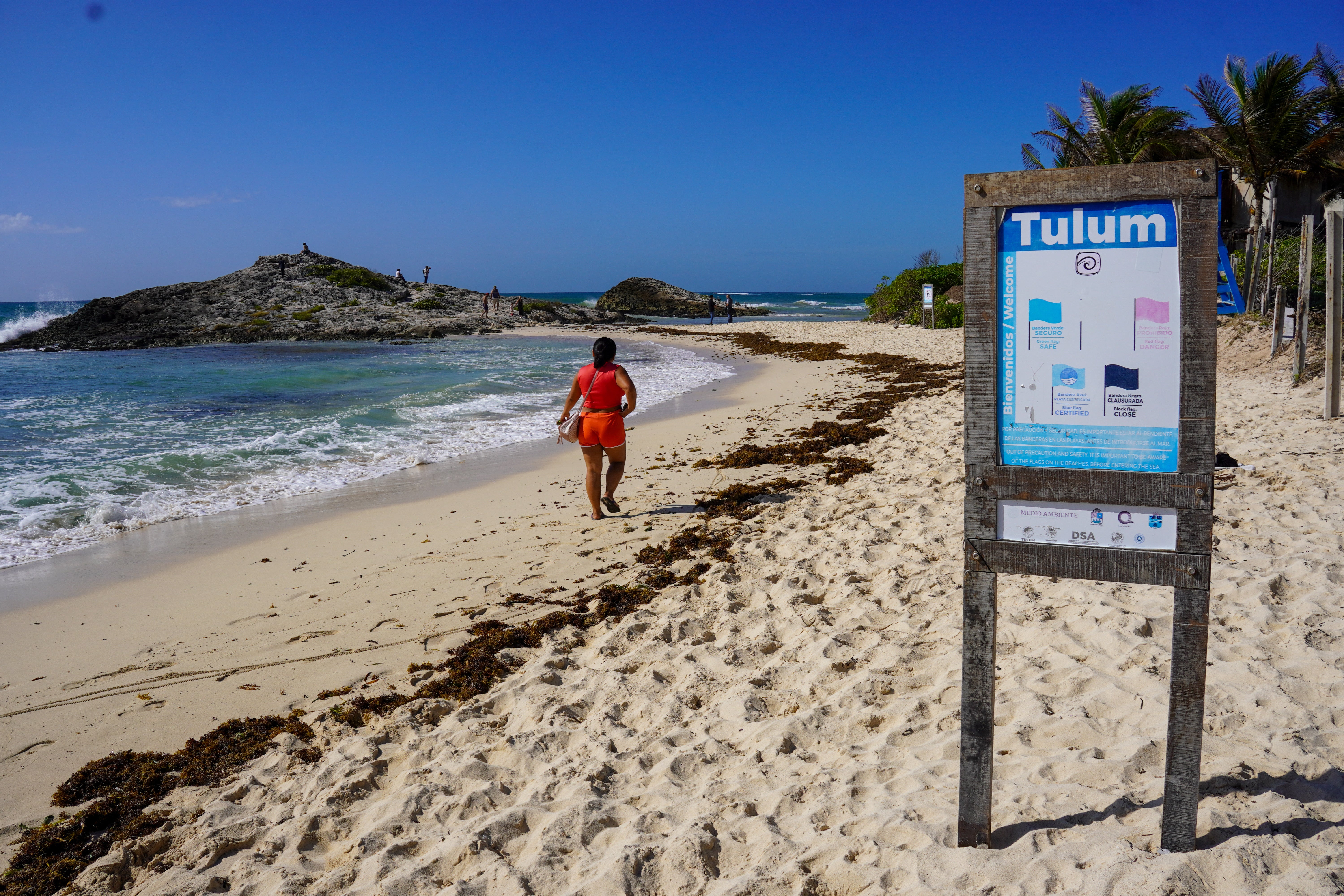 The flight in question was headed from Tulum, Mexico to Houston, Texas, where Yisroel Liebb was planning to catch a connecting flight home to New York