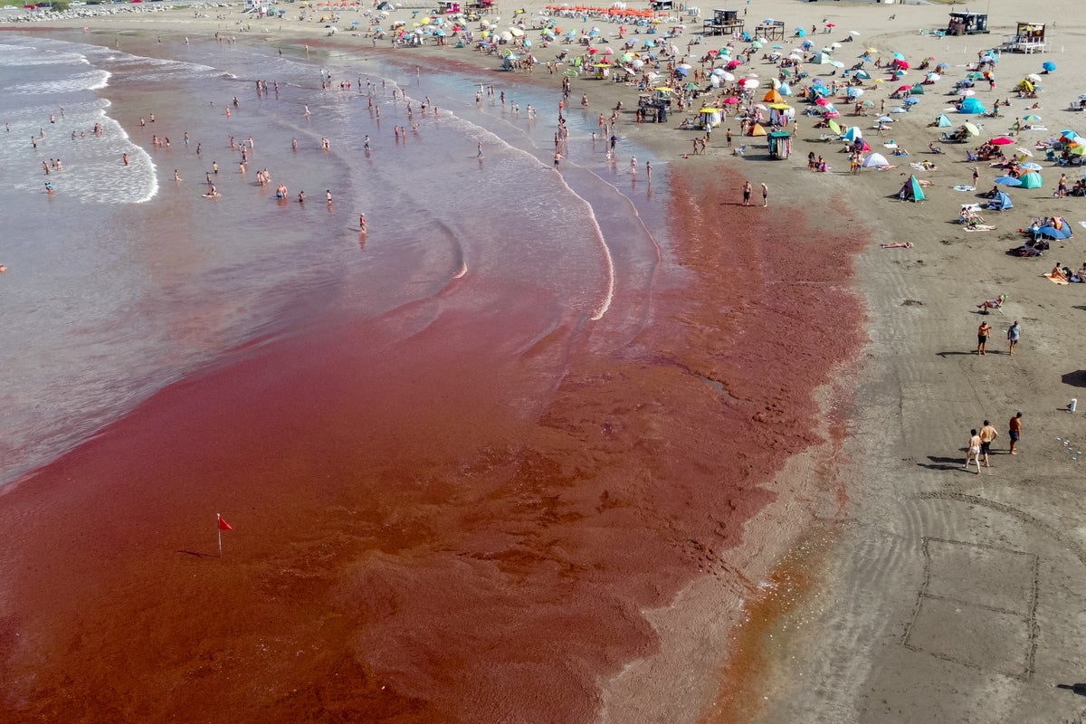 The sea is turning red! Researchers make breakthrough discovery that could help forecast dangerous algae blooms The sea is turning red! Researchers make breakthrough discovery that could help forecast dangerous algae blooms