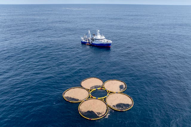 Ocean Fisheries Capturing Carbon