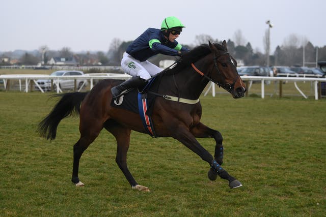 <p>Niall Houlihan and Old Cowboy win the Novices' Hurdle at Plumpton Racecourse</p>