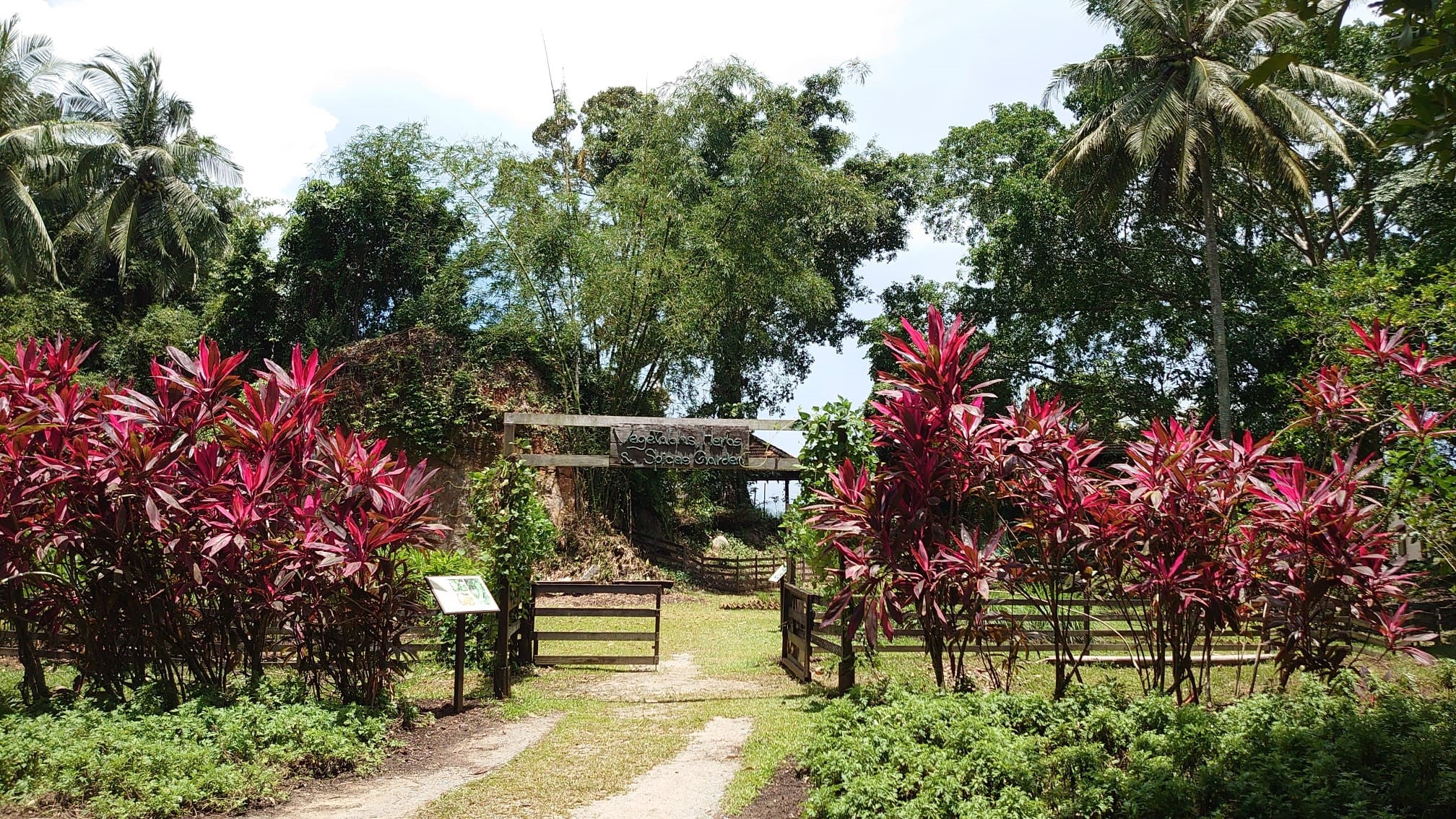 Spend a peaceful afternoon at Pulau Ubin, a tiny, sparsely populated island just off the coast