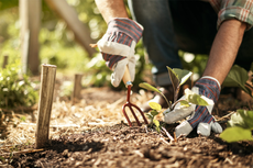 Crocus discount codes for May 2025 – save 20% on spring essentials