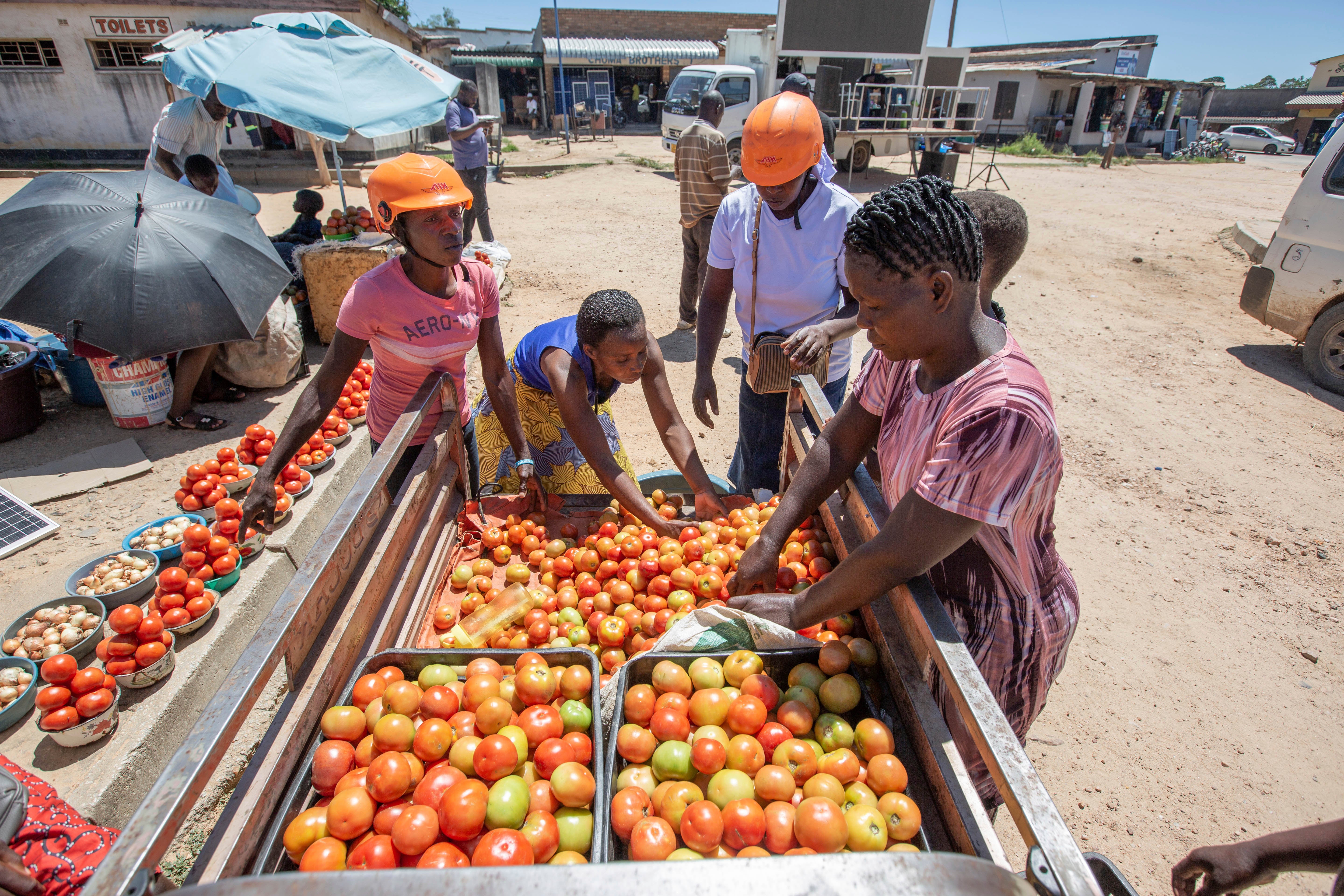 Zimbabwe Women Tricycles