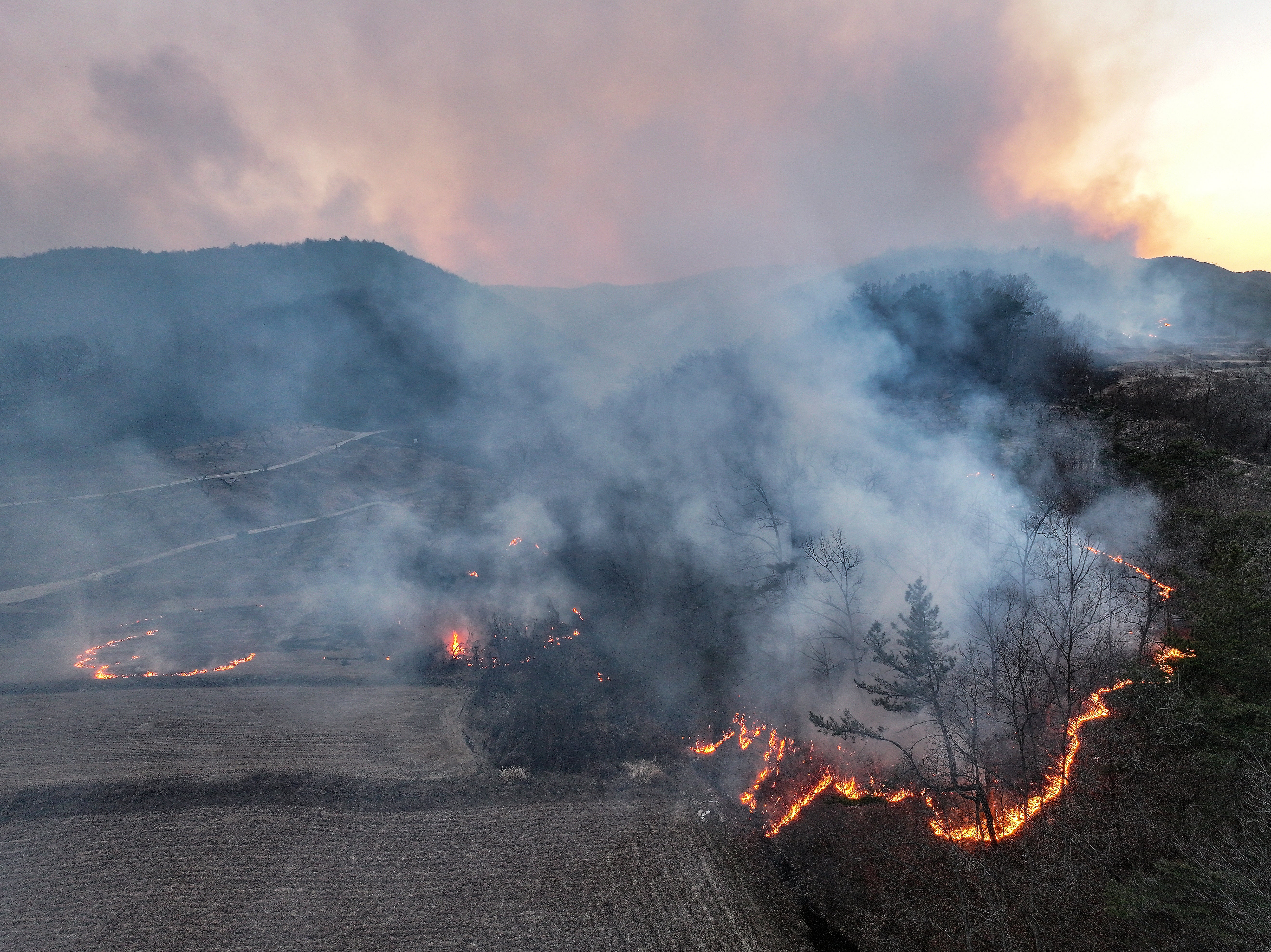 South Korea Wildfires