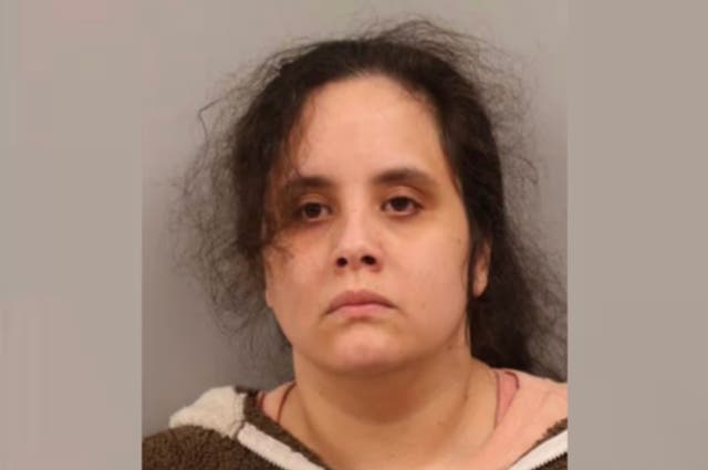 <p>Kimberly Cruz-Feliciano, 30, was arrested on child abuse charges after her child was forced to wear a dog’s shock collar, authorities said 
</p>