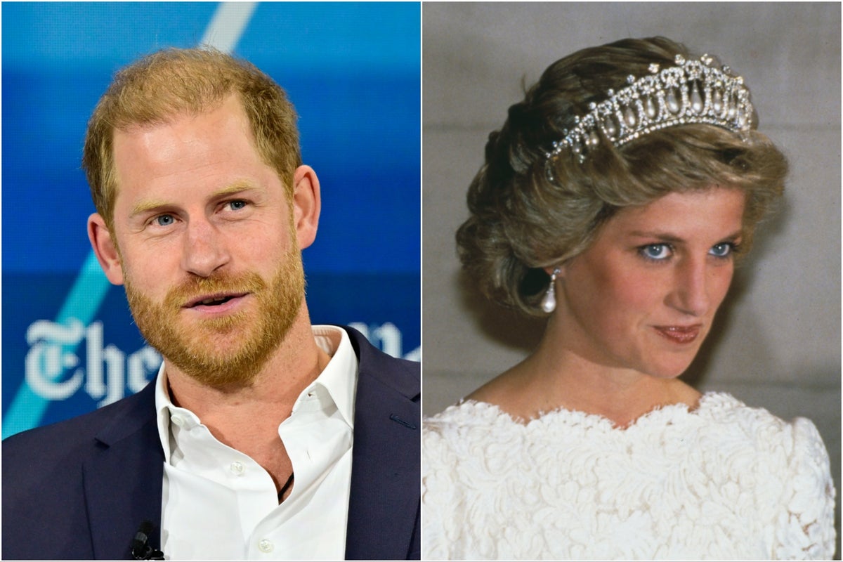 Prince Harry ‘not planning’ Princess Diana documentary for Netflix despite reports Prince Harry ‘not planning’ Princess Diana documentary for Netflix despite reports