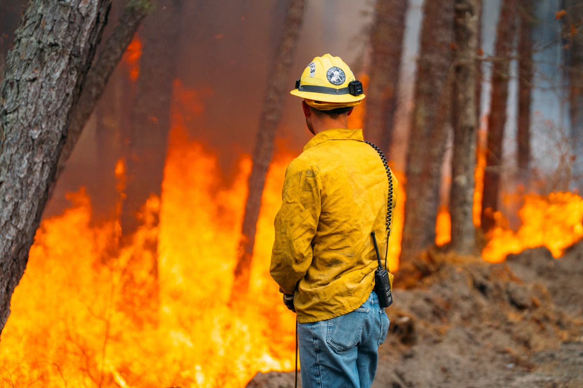 Firefighters in the Carolinas battle multiple wildfires as New Jersey crews contain a forest blaze