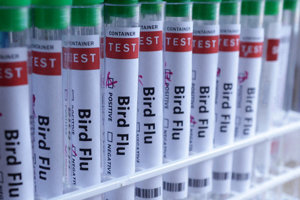 What is bird flu and what threat does it pose after being detected in ...